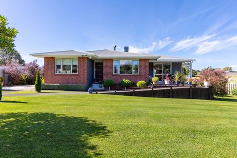 Photo of property in 19 Haswell Street, Eketahuna, 4900