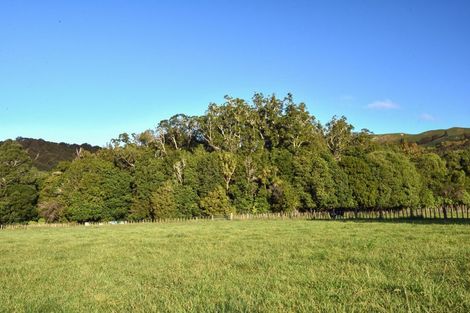 Photo of property in 559 Taurau Valley Road, Muriwai, Manutuke, 4072