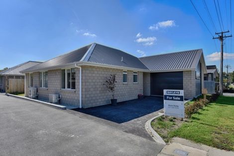 Photo of property in 17a Albany Street, Gore, 9710