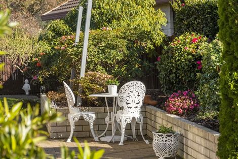 Photo of property in 22 Reilly Avenue, Mount Maunganui, 3116