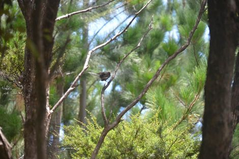 Photo of property in 638 Whangaruru Road North, Whangaruru, Russell, 0184