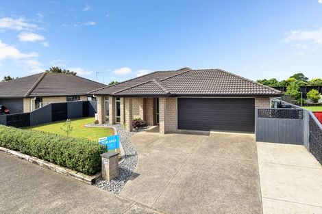 Photo of property in 11 Te Ironui Place, Huntington, Hamilton, 3210