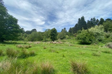 Photo of property in 2000 Inland Road, Lyford, Waiau, 7395