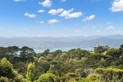 Photo of property in 21 Crieff Street, Northland, Wellington, 6012