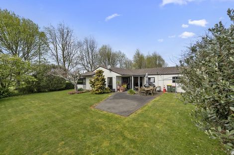 Photo of property in 25 Commodore Avenue, Flagstaff, Hamilton, 3210