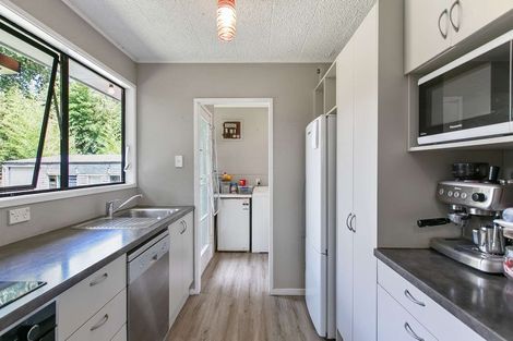 Photo of property in 55 Larissa Avenue, Henderson, Auckland, 0610