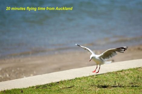 Photo of property in 1/8a The Esplanade, Whitianga, 3510