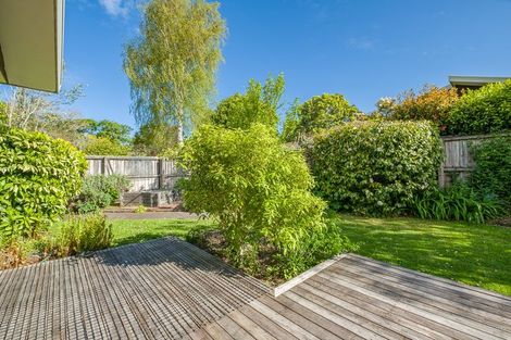 Photo of property in 297c Ashgrove Terrace, Somerfield, Christchurch, 8024