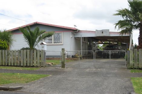 Photo of property in 17 Holland Street, Pukekohe, 2120
