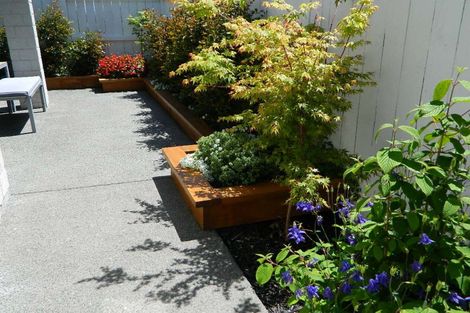 Photo of property in 4 Taniko Lane, Papamoa, 3118