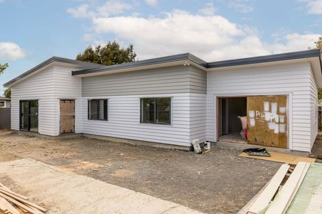 Photo of property in 34 Elizabeth Street, Levin, 5510