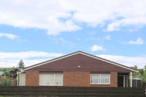 Photo of property in 399 Maunganui Road, Mount Maunganui, 3116