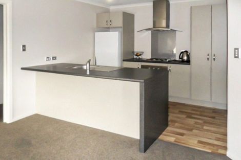 Photo of property in 133 Grove Street, Tinwald, Ashburton, 7700