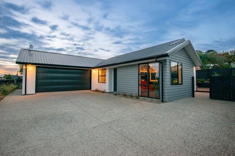 Photo of property in 1106 Brighton Road, Brighton, Dunedin, 9035
