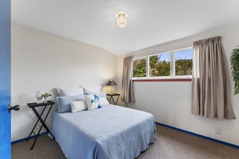 Photo of property in 30 Hassals Lane, Waltham, Christchurch, 8023