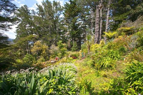 Photo of property in 445 Preeces Point Road, Preece Point, Coromandel, 3506