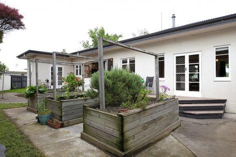 Photo of property in 1021 Duke Street, Mahora, Hastings, 4120