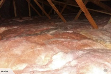 Photo of property in 3a Bradley Street, Paeroa, 3600