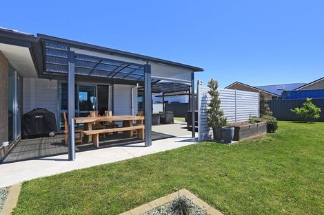 Photo of property in 20 Lochhead Street, Mahora, Hastings, 4120