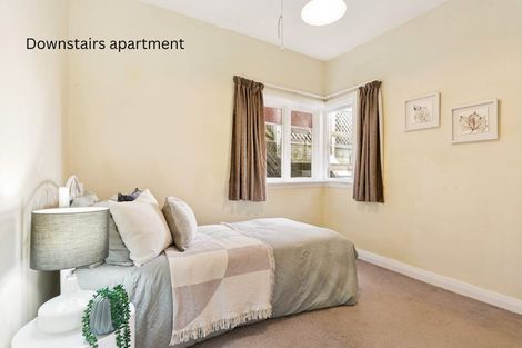 Photo of property in 90 Farnham Street, Mornington, Wellington, 6021