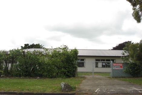 Photo of property in 272 Queen Street, Pukekohe, 2120