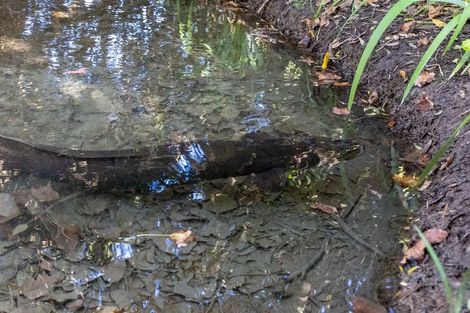 Photo of property in 120 Mills And Ford Road East, Grovetown, Blenheim, 7273