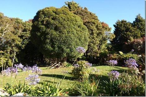 Photo of property in 416 Maori Creek Road, Marsden, Dobson, 7872