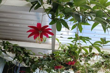 Photo of property in 9 Whaka Street, Maungaturoto, 0520