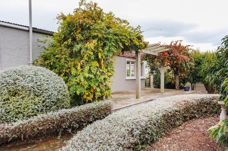 Photo of property in 34 Wellington Street, Feilding, 4702