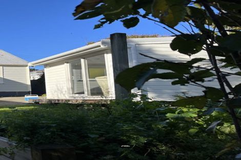 Photo of property in 1 Blucher Avenue, Newtown, Wellington, 6021