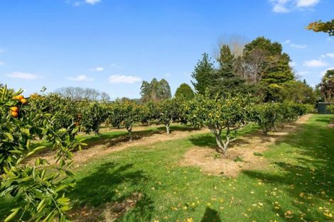 Photo of property in 174 Mystery Creek Road, Ohaupo, 3881