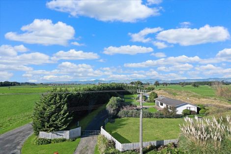 Photo of property in 282 Hickford Road, Foxton, 4891