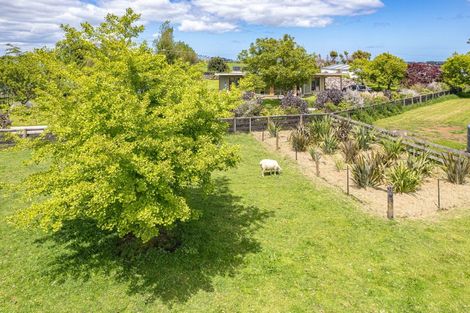 Photo of property in 26 Budge Street, Fordell, 4572