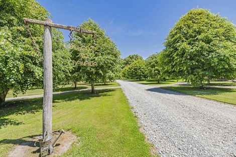 Photo of property in 193 Whitecliffs Road, Whitecliffs, Coalgate, 7673