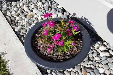 Photo of property in 20 Romilly Street, Westport, 7825