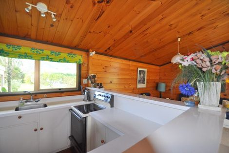 Photo of property in 19 Winderton Way, Pauanui, Hikuai, 3579