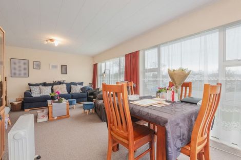 Photo of property in 411 Ruahine Street, Terrace End, Palmerston North, 4410