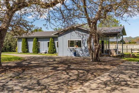Photo of property in 353 Te Aute Road, Pukahu, Hastings, 4172