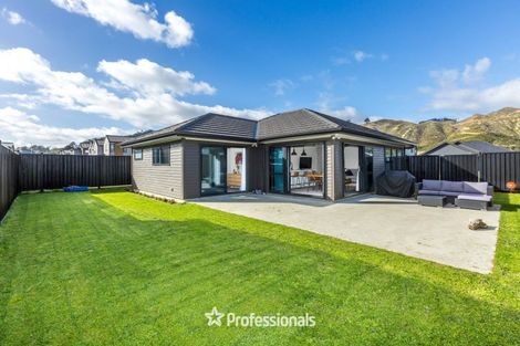 Photo of property in 18 Castletown Street, Wallaceville, Upper Hutt, 5018