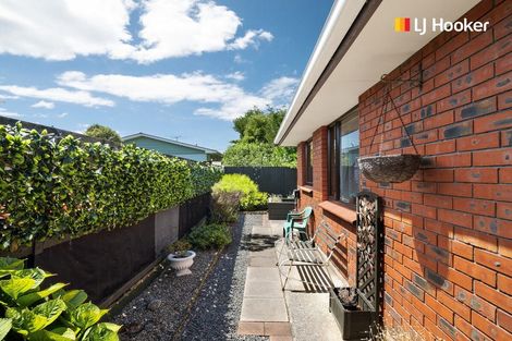 Photo of property in 13b Grove Street, Saint Kilda, Dunedin, 9012