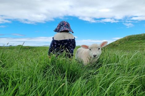 Photo of property in 165 Kereru Road, Glen Massey, Ngaruawahia, 3794