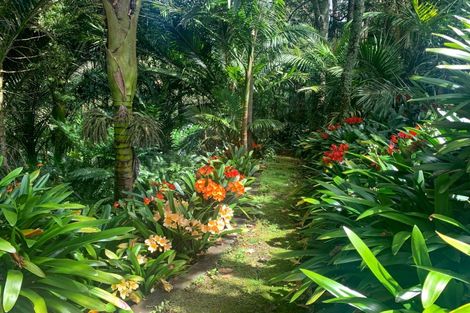 Photo of property in 111 Old Reservoir Road, Karangahake, Paeroa, 3674