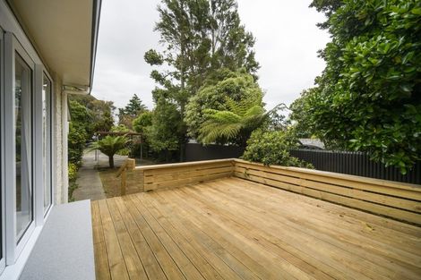 Photo of property in 103a Derby Street, Feilding, 4702