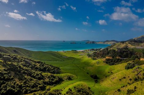 Photo of property in 2 Matapaua Bay Road, Opito Bay, Whitianga, 3592