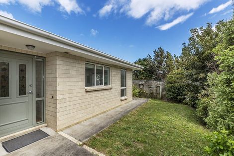 Photo of property in 69a Para Street, Miramar, Wellington, 6022