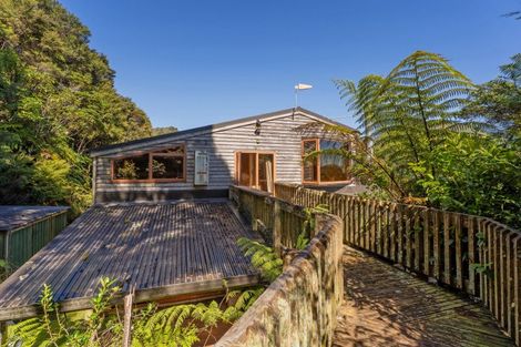 Photo of property in 820 The 309 Road, Waiau, Coromandel, 3581