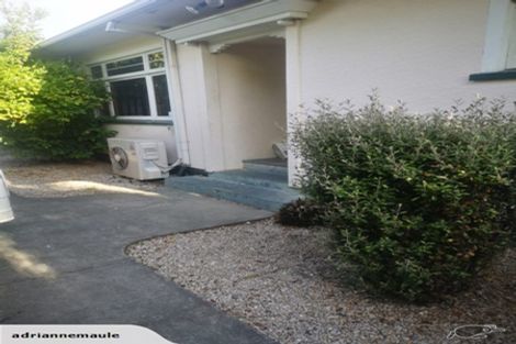 Photo of property in 10 Seddon Street, Sydenham, Christchurch, 8023