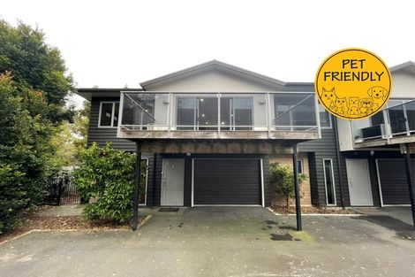 Photo of property in 5/10 Dowding Street, Melville, Hamilton, 3206