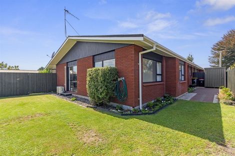 Photo of property in 113b Grace Road, Tauranga South, Tauranga, 3112