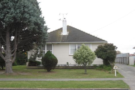 Photo of property in 98 Geddis Avenue, Maraenui, Napier, 4110